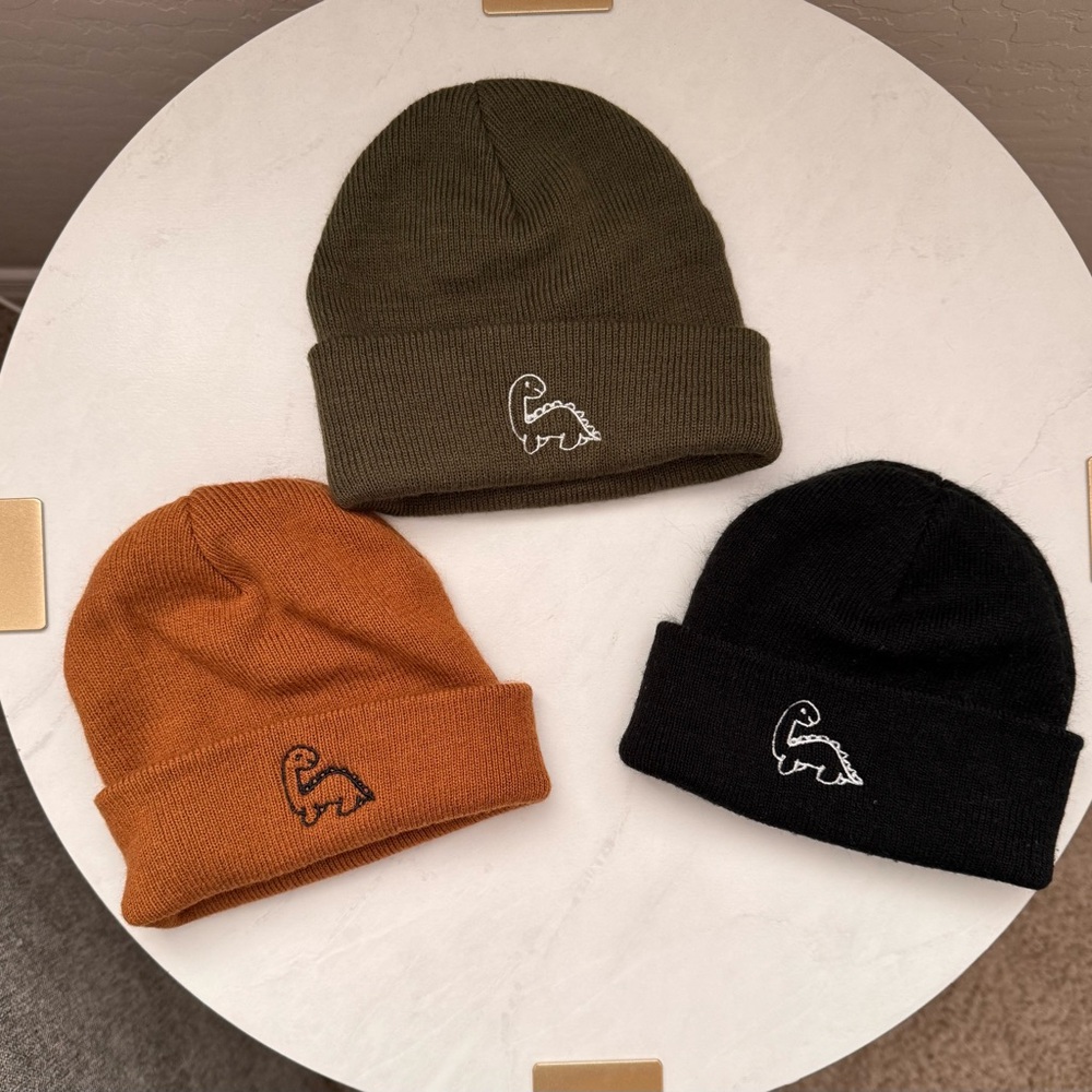 Dinosaur Embroidered Baby Beanie Set